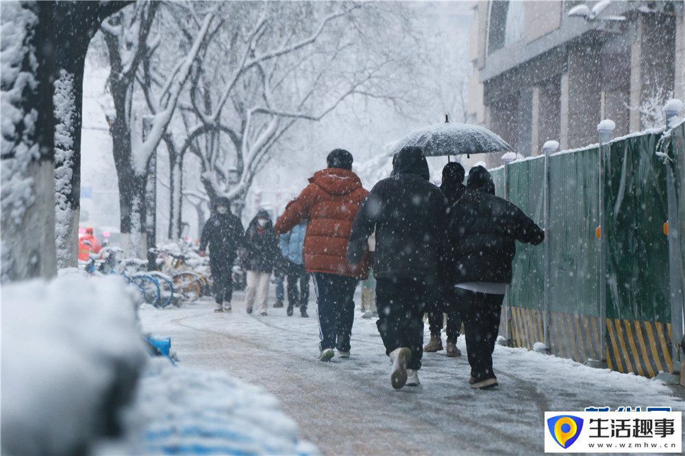 大雪紛飛 古城西安銀裝素裹(圖9)
