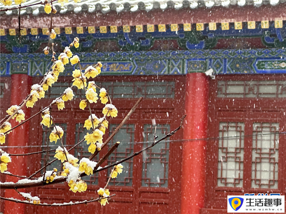 大雪紛飛 古城西安銀裝素裹(圖13)
