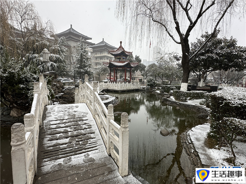 大雪紛飛 古城西安銀裝素裹(圖14)
