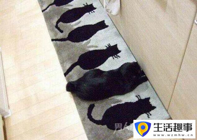 當廚房的香味飄來時 總有一些小動物亂入(圖6)