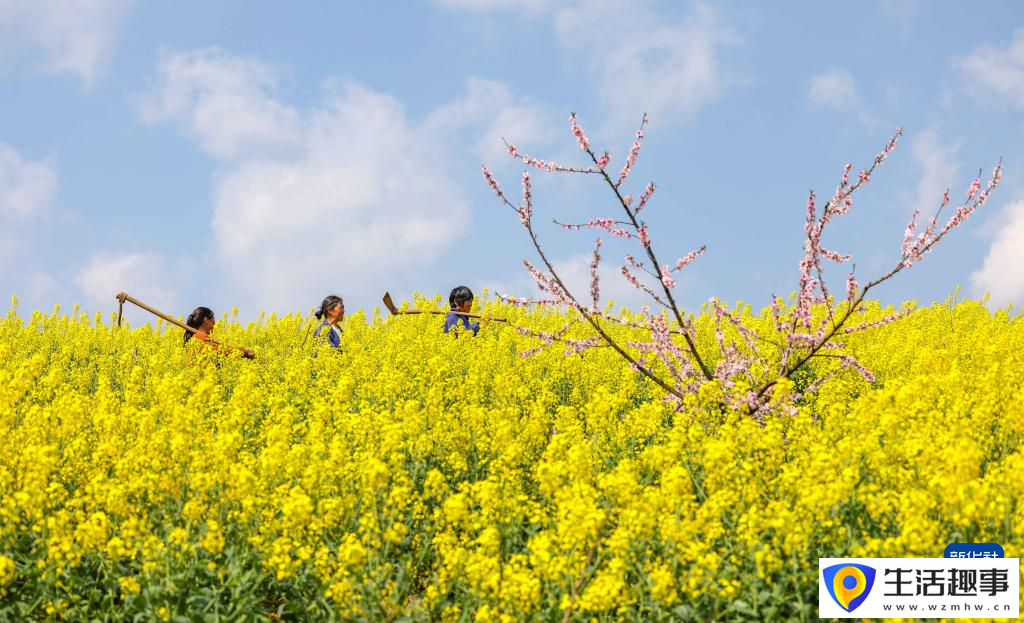 詩意中國 春日上春山(圖3)