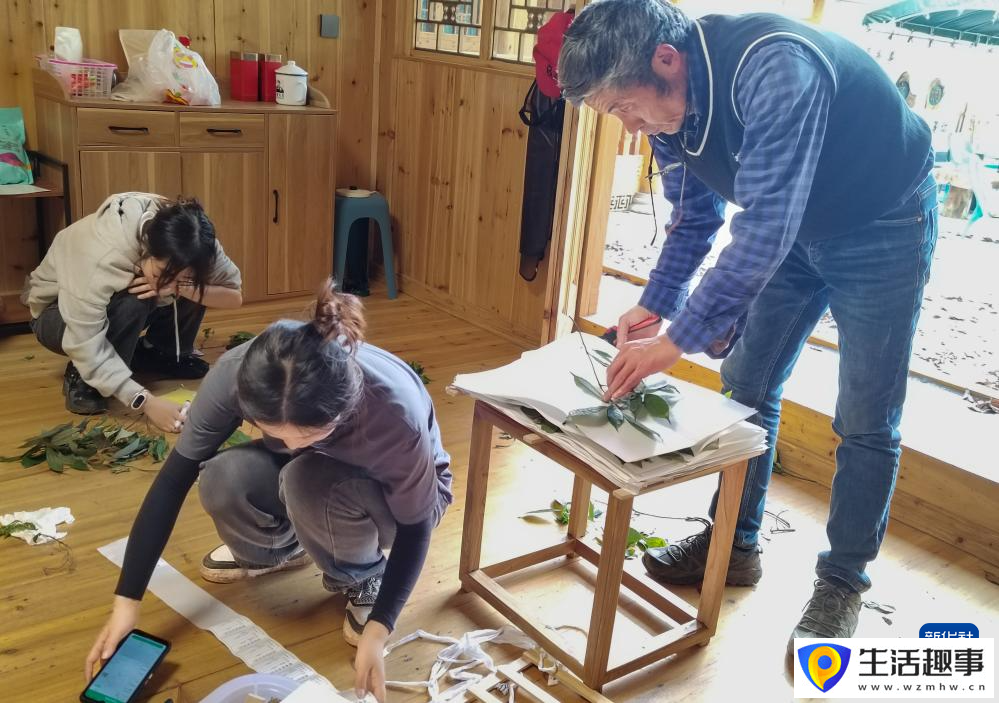 扎根深山 守護杜鵑花家園(圖6)