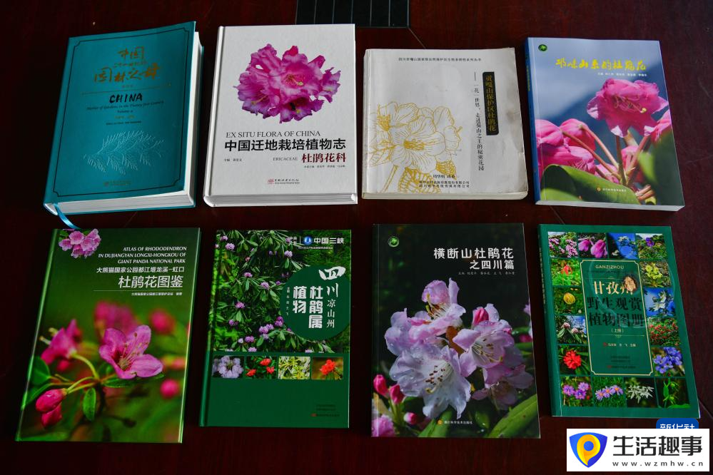扎根深山 守護杜鵑花家園(圖14)