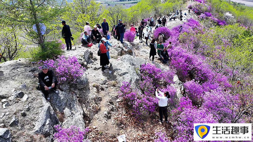 黑龍江雞西：春光暖 山花爛漫迎游客