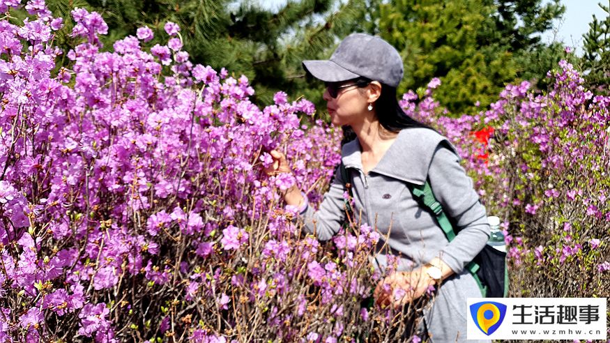 黑龍江雞西：春光暖 山花爛漫迎游客(圖3)
