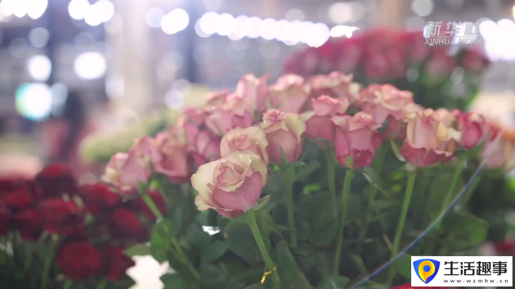 春有約 花正好