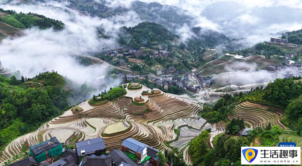 初夏梯田 景致如畫