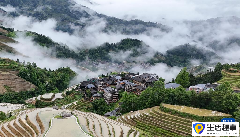 初夏梯田 景致如畫(圖4)