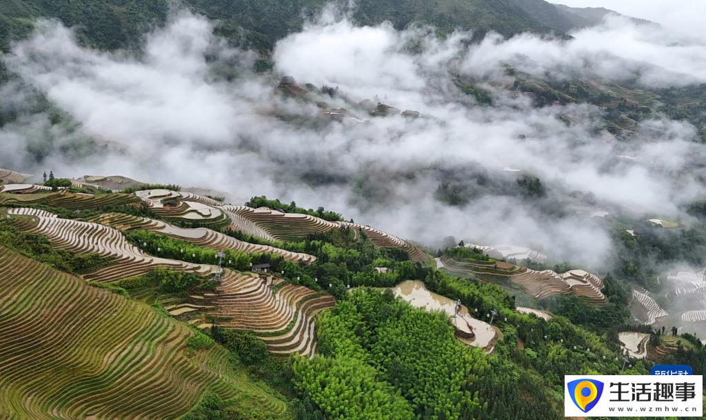 初夏梯田 景致如畫(圖3)