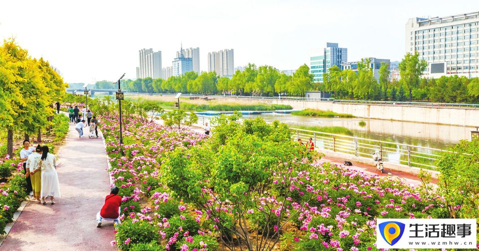 推窗見綠 開門見景