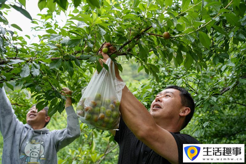 多點(diǎn)開(kāi)花 勢(shì)頭正旺