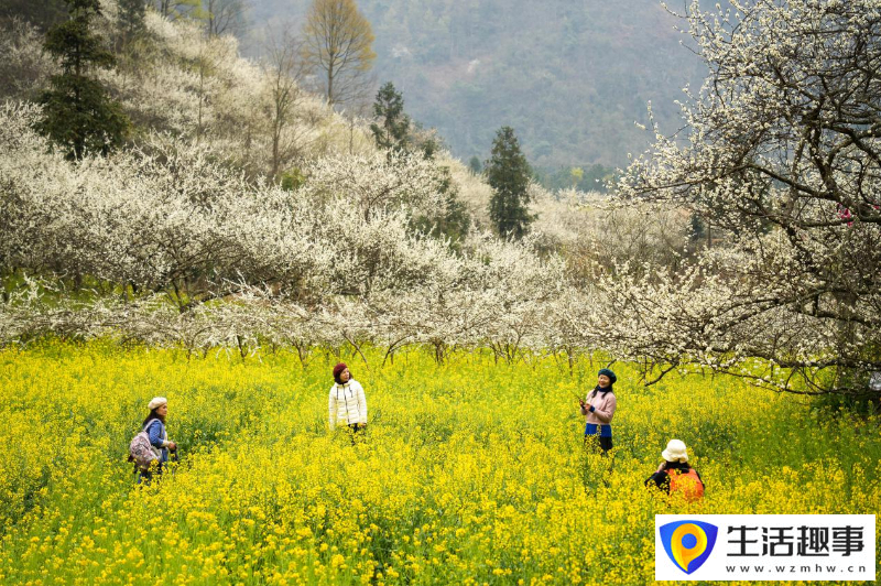 多點開花 勢頭正旺(圖6)