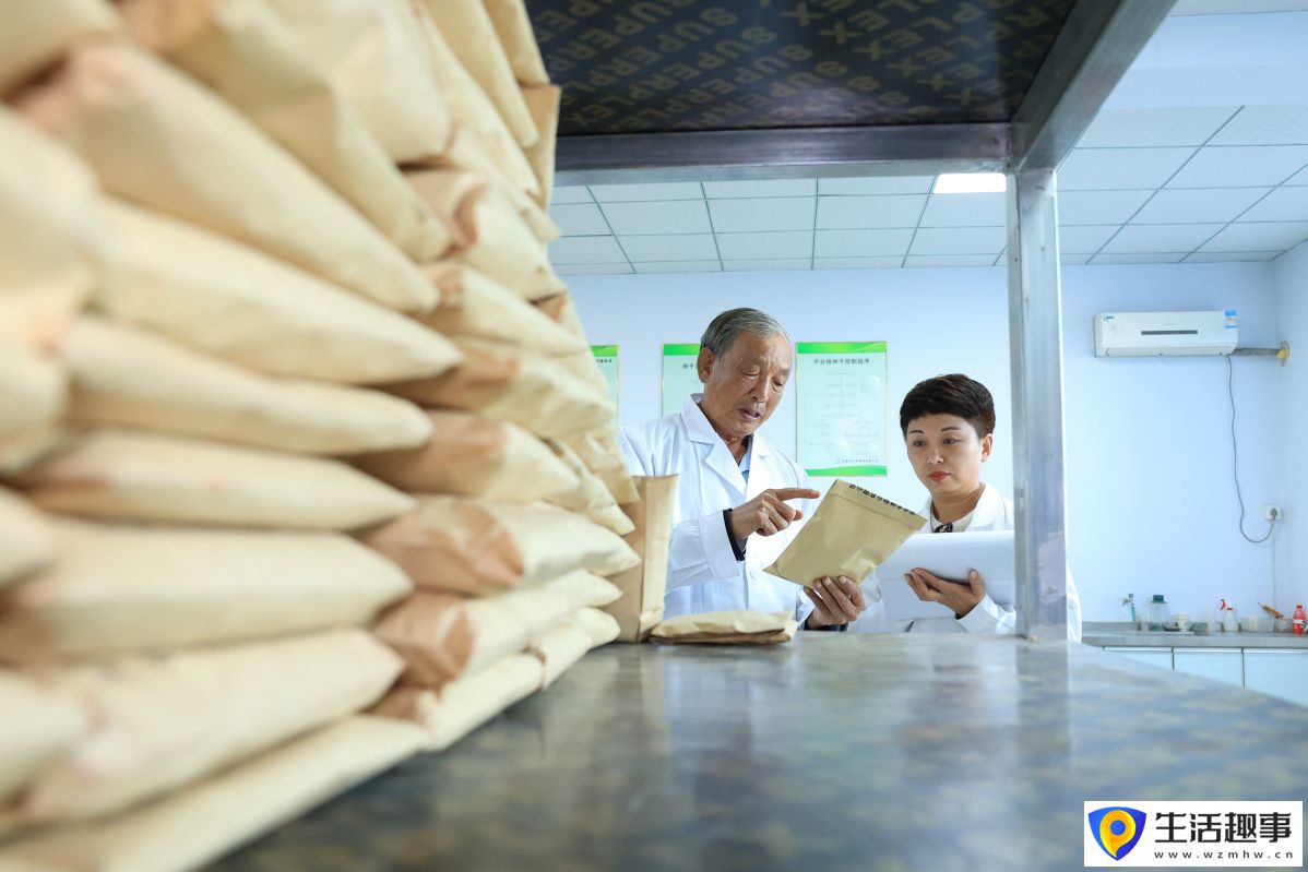 辛集市：為種業發展注入科技“內核”(圖2)