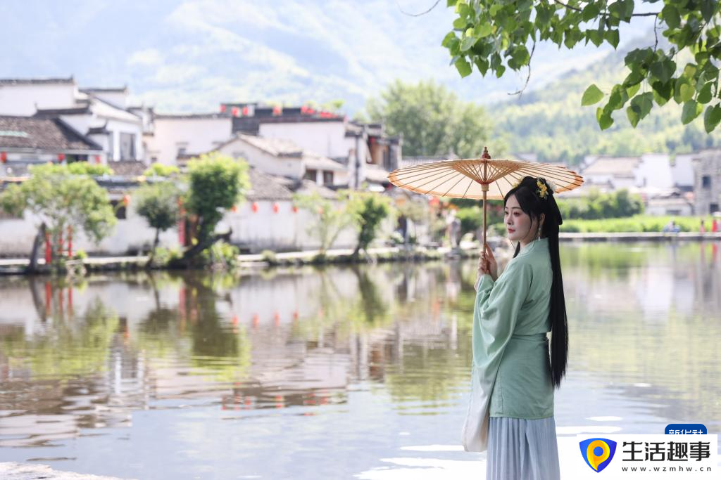 夏日宏村引游人(圖2)