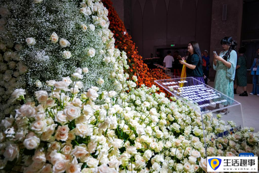 第二十二屆中國昆明國際花卉展開幕(圖5)