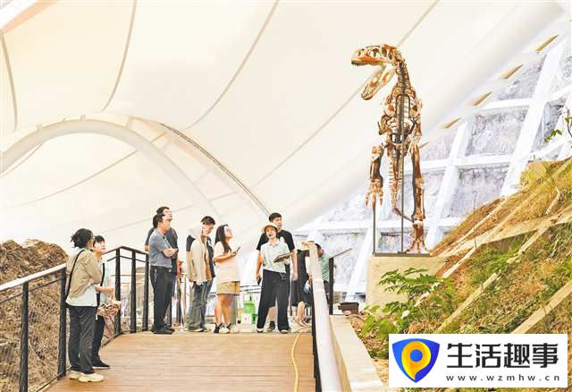 云陽地質公園恐龍化石遺址館開館 150米墻上密布5000處恐龍化石(圖2)