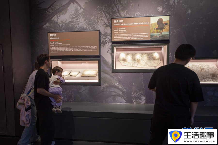 走進遼寧朝陽古生物化石博物館(圖3)