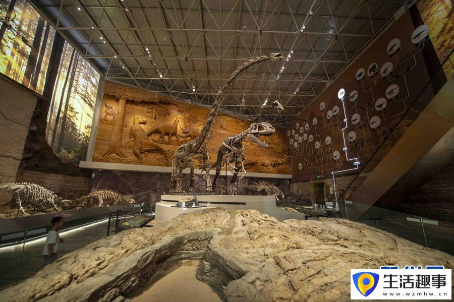 走進遼寧朝陽古生物化石博物館(圖4)