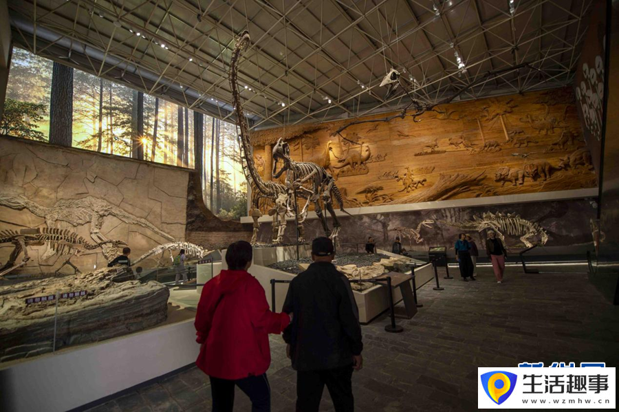 走進遼寧朝陽古生物化石博物館(圖5)